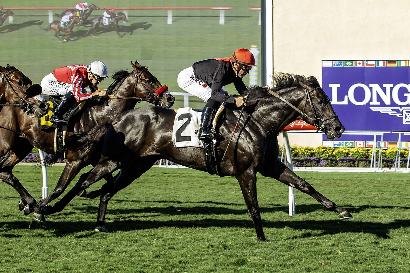 Article Photo Thumbnail