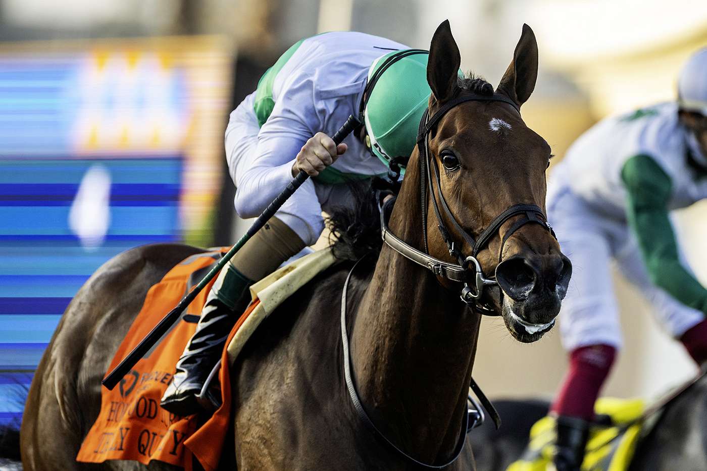 Article Photo Thumbnail