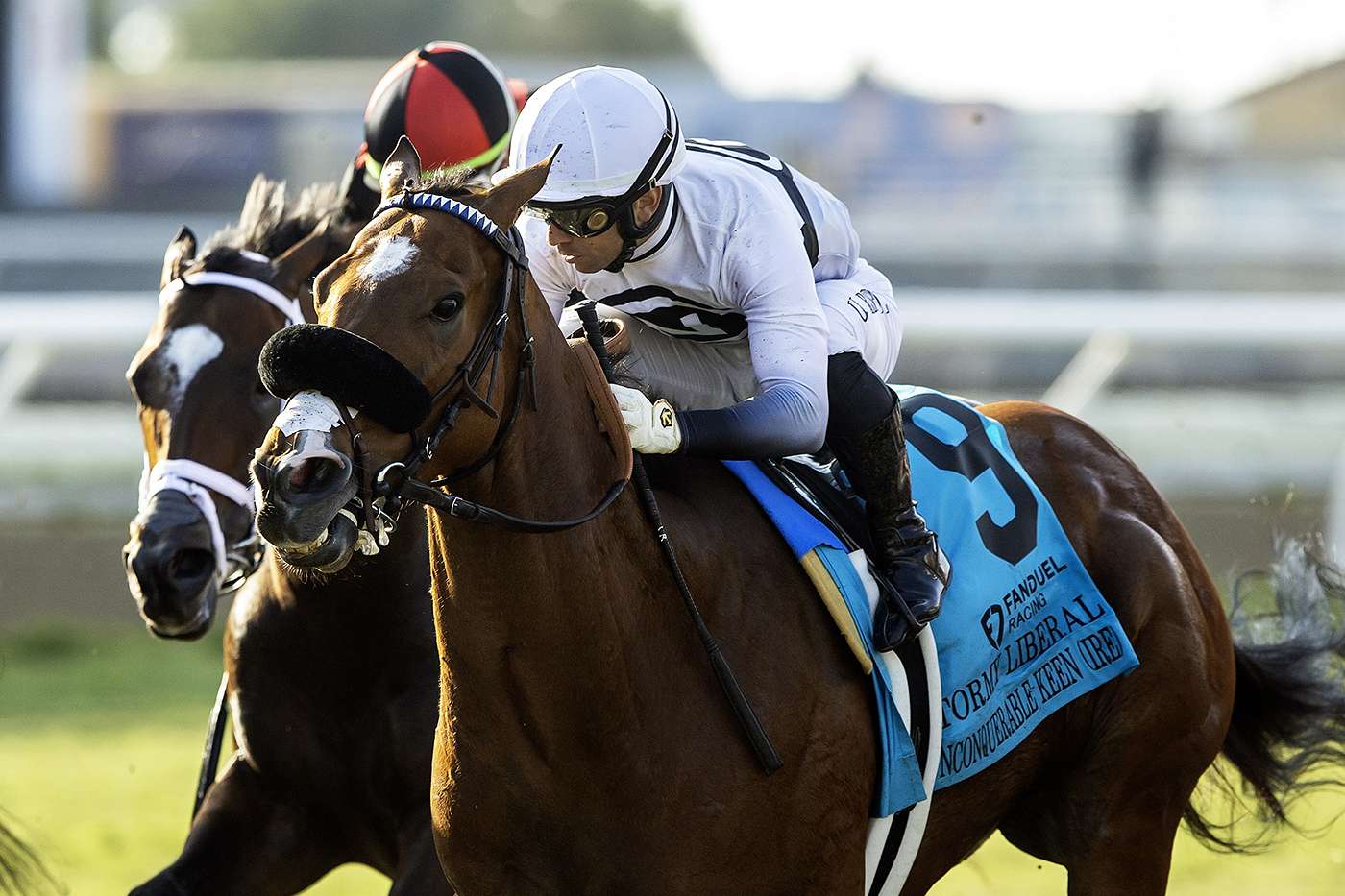 Article Photo Thumbnail