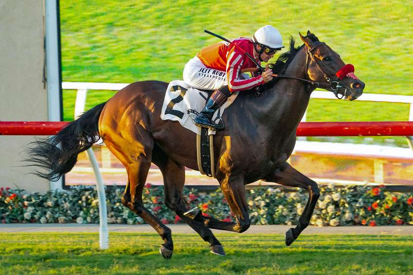 Article Photo Thumbnail