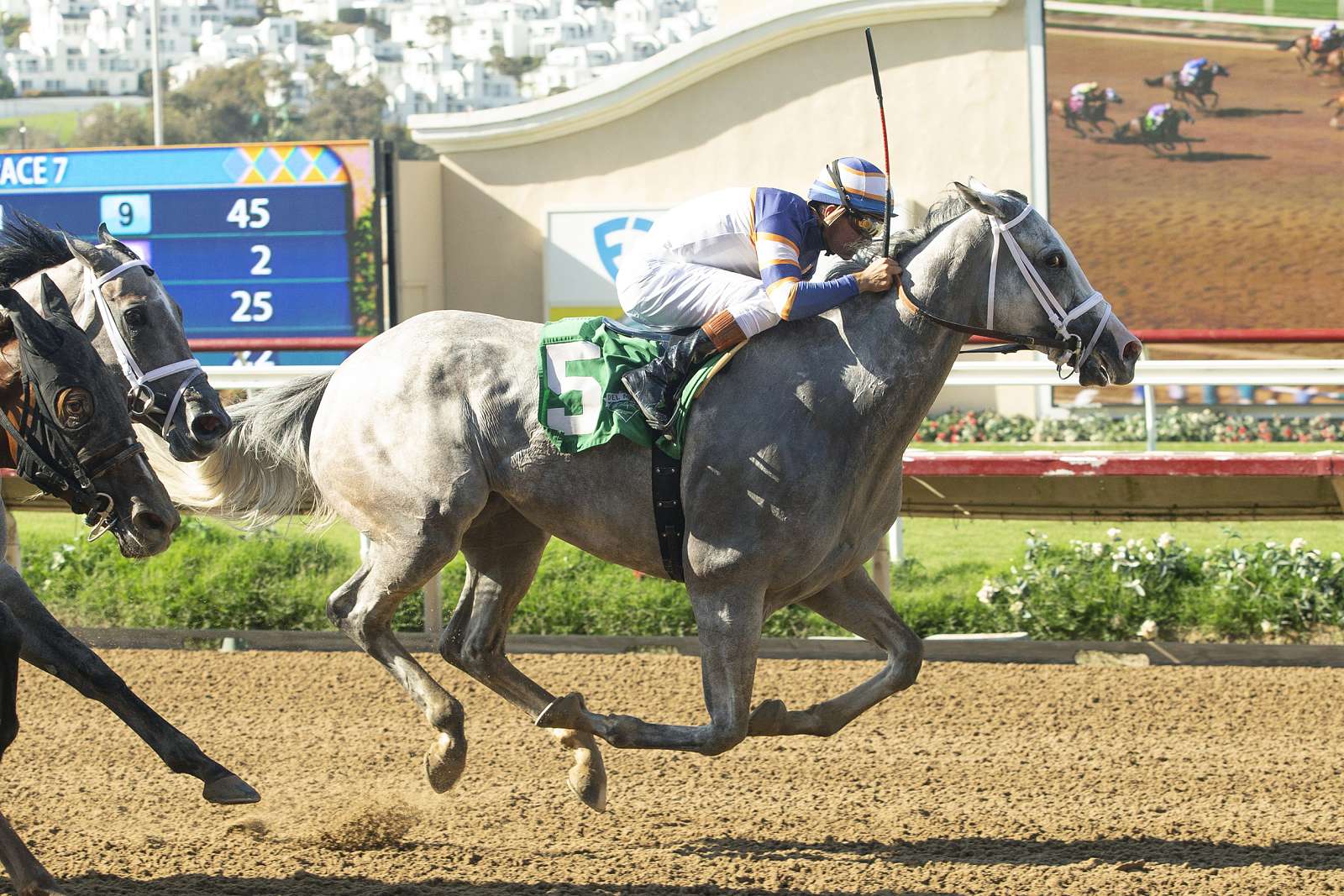 Article Photo Thumbnail