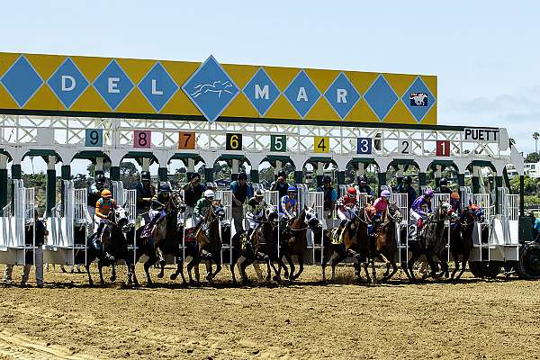 Article Photo Thumbnail