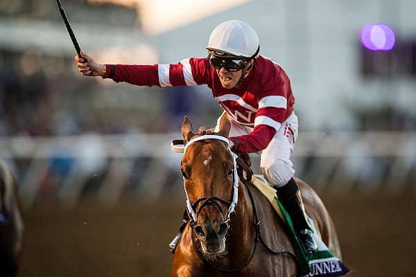 Photo of Breeders' Cup Prohibiting Lasix in Challenge Series Races; Only Awarding Qualifying Points for Lasix-Free Graded Stakes Races