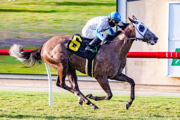 Photo of Record Ship & Win Program at Del Mar
