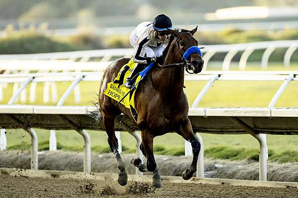 Article Photo Thumbnail