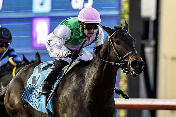 Article Photo Thumbnail