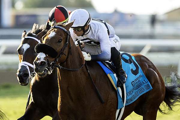 Article Photo Thumbnail