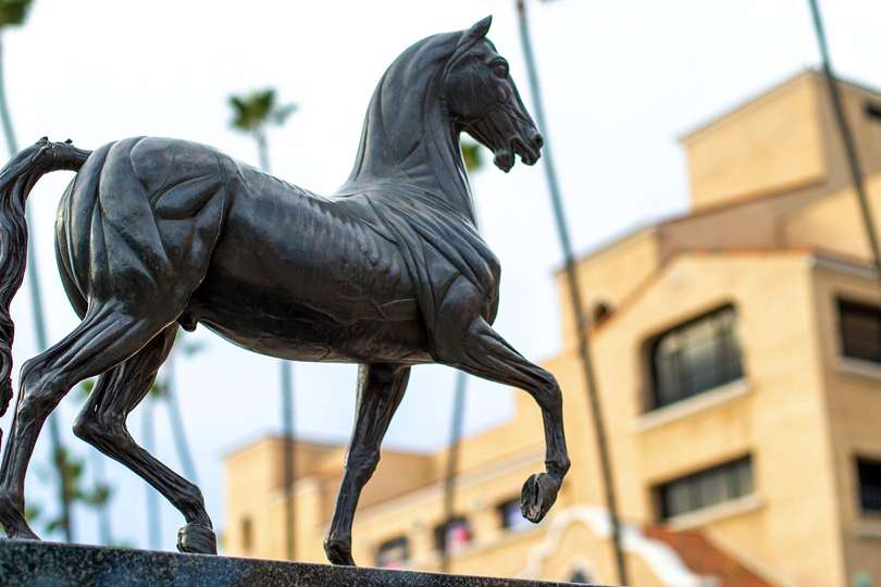 Breeders' Cup Outlines Comprehensive Safety and Integrity Measures In Place for 2024 World Championships