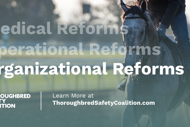 Thoroughbred Safety Coalition