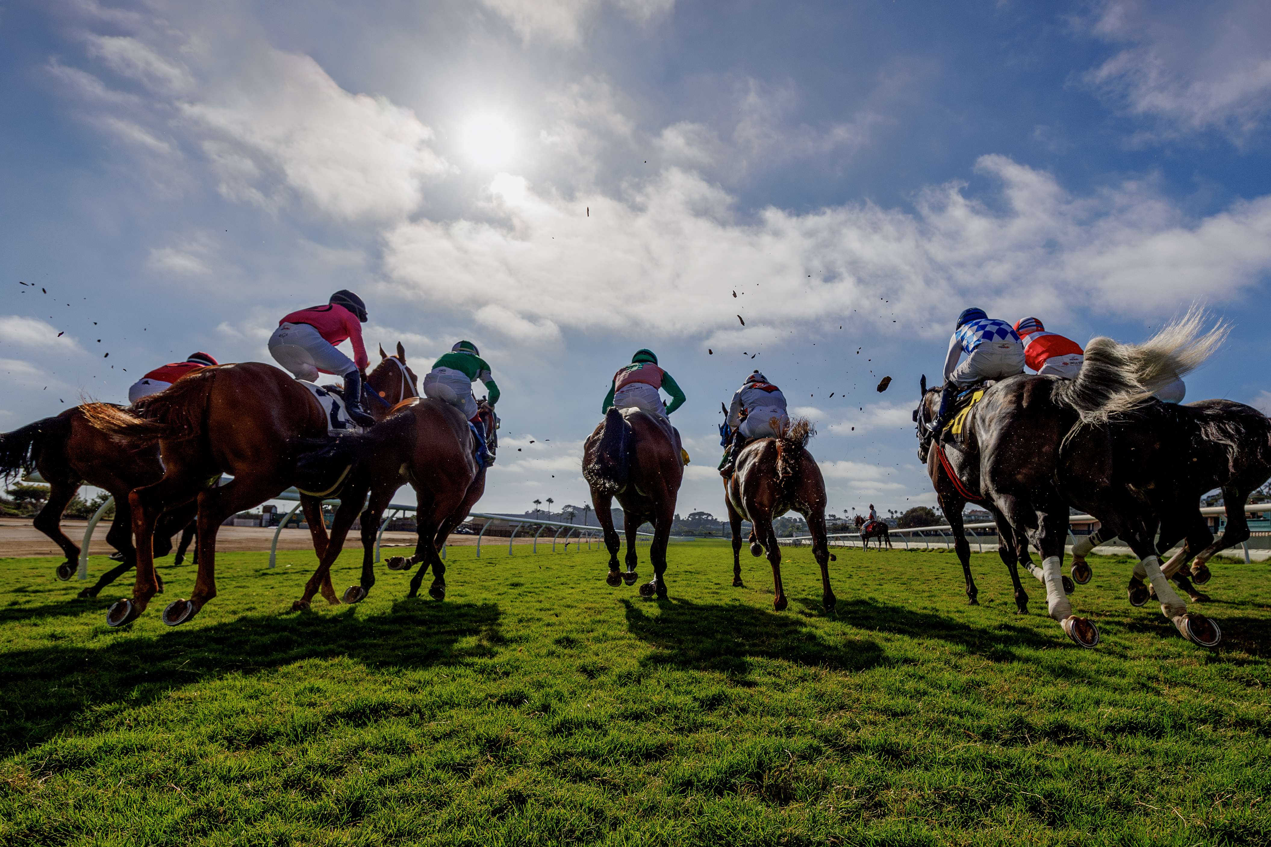 Photo for FanDuel Racing Turf Festival