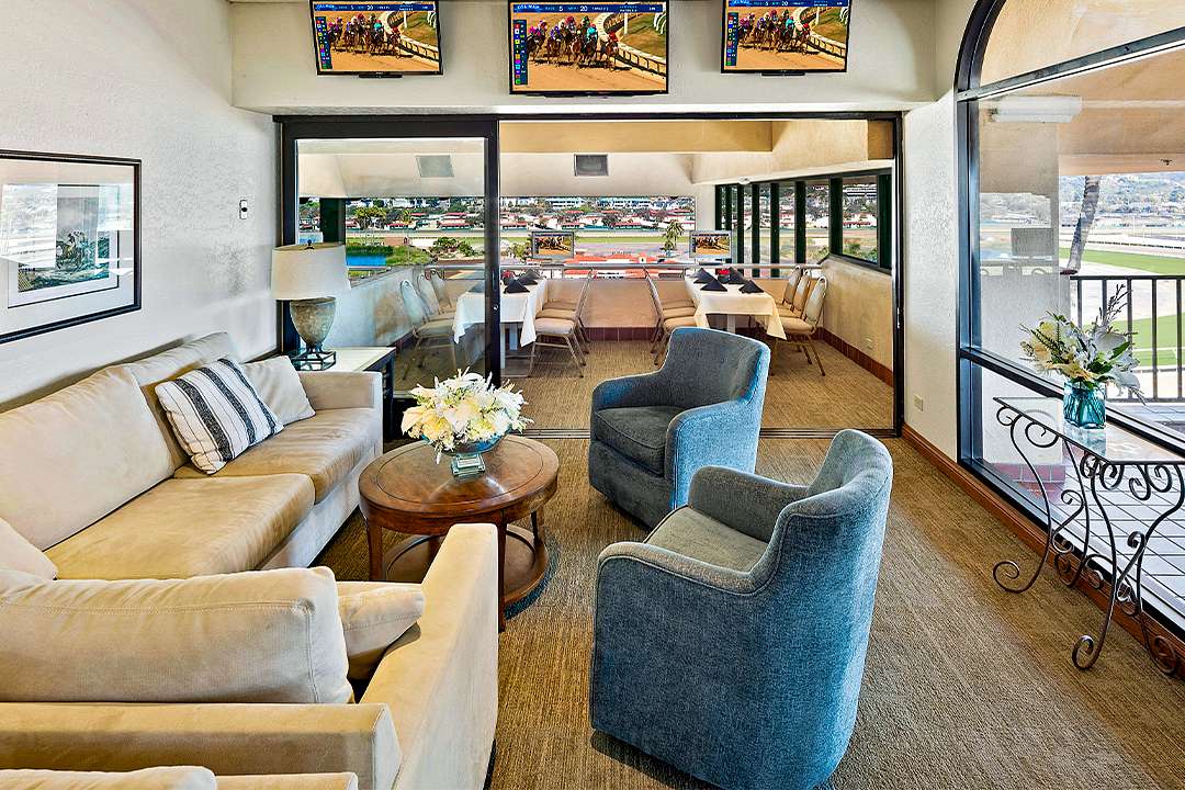 Luxury Suites