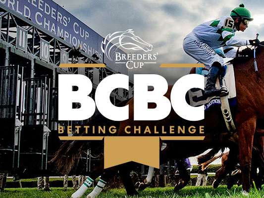 Article Photo Thumbnail