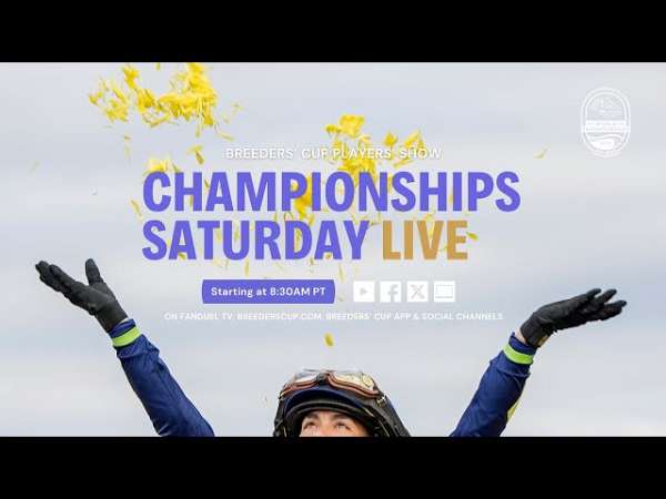 Article Photo Thumbnail