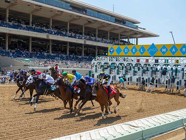 Article Photo Thumbnail