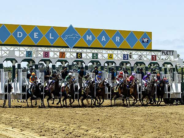 Article Photo Thumbnail