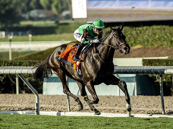 Article Photo Thumbnail