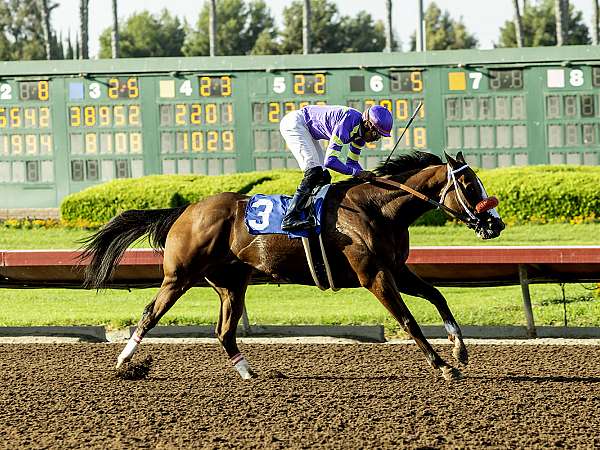 Article Photo Thumbnail