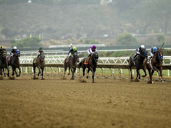 Article Photo Thumbnail