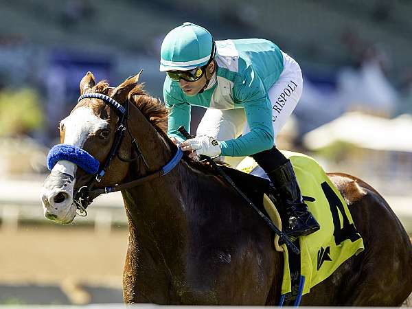 Article Photo Thumbnail