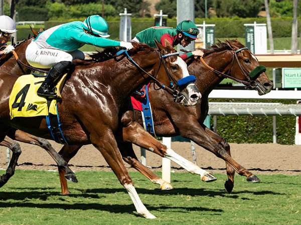 Article Photo Thumbnail