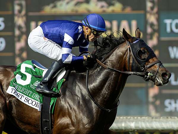 Article Photo Thumbnail