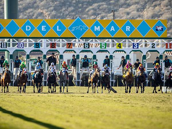 Article Photo Thumbnail