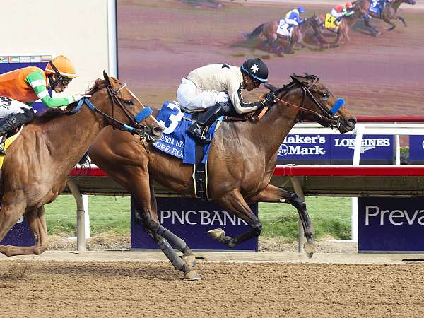 Article Photo Thumbnail