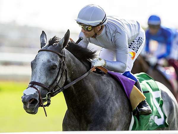 Article Photo Thumbnail