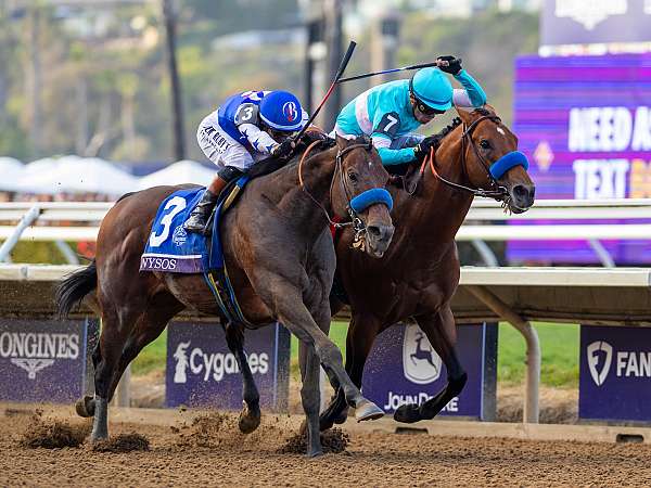 Article Photo Thumbnail