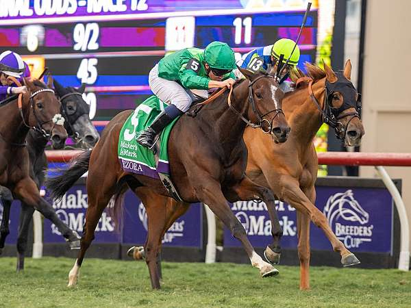 Article Photo Thumbnail