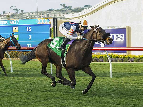 Article Photo Thumbnail