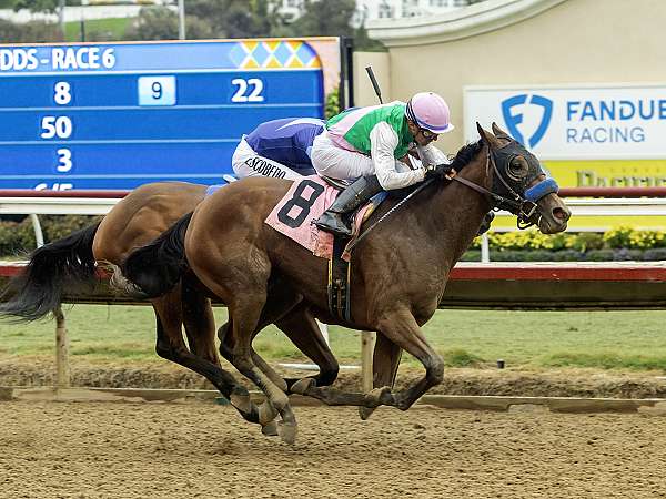 Article Photo Thumbnail