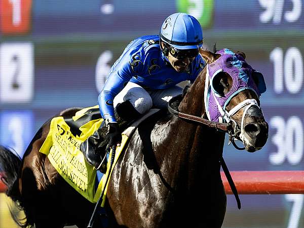 Article Photo Thumbnail