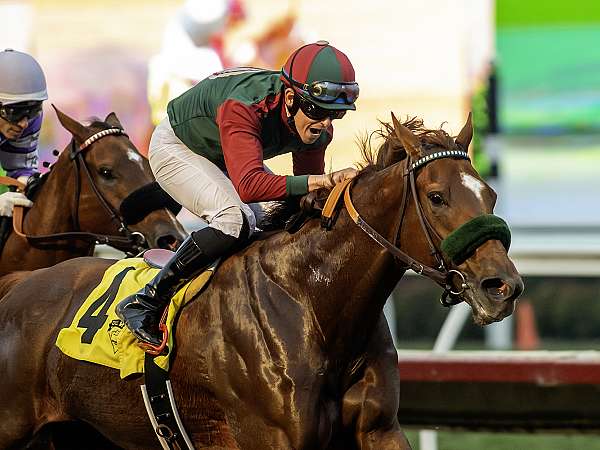 Article Photo Thumbnail