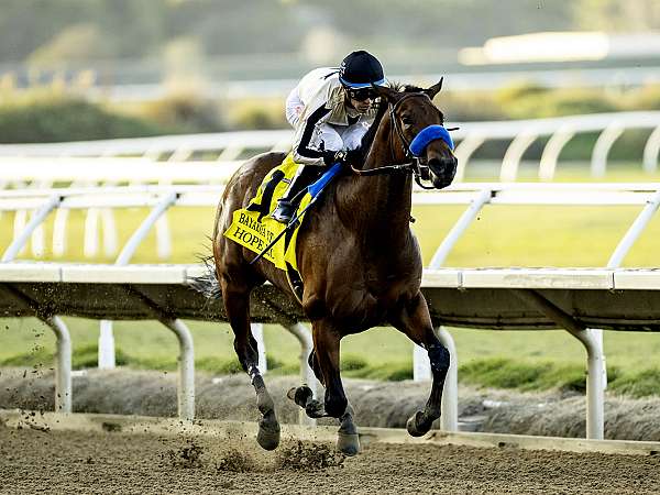 Article Photo Thumbnail