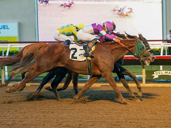 Article Photo Thumbnail