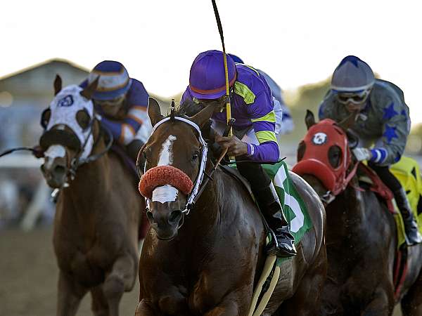 Article Photo Thumbnail