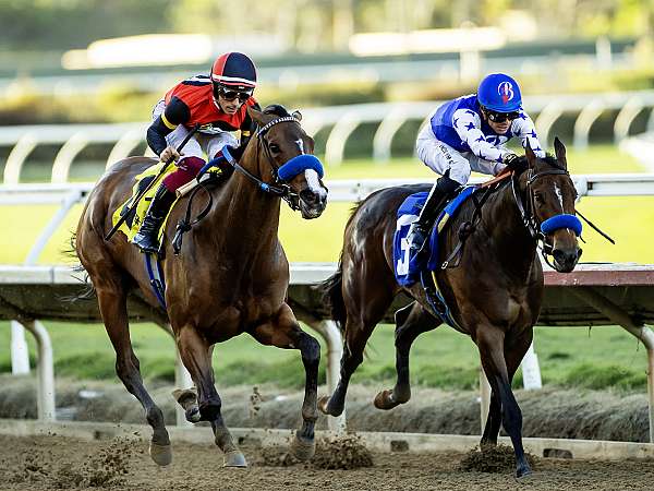 Article Photo Thumbnail