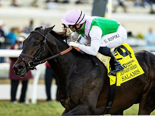 Article Photo Thumbnail