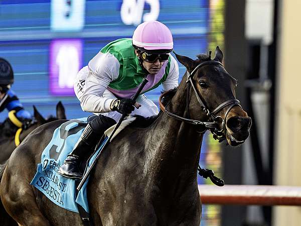 Article Photo Thumbnail