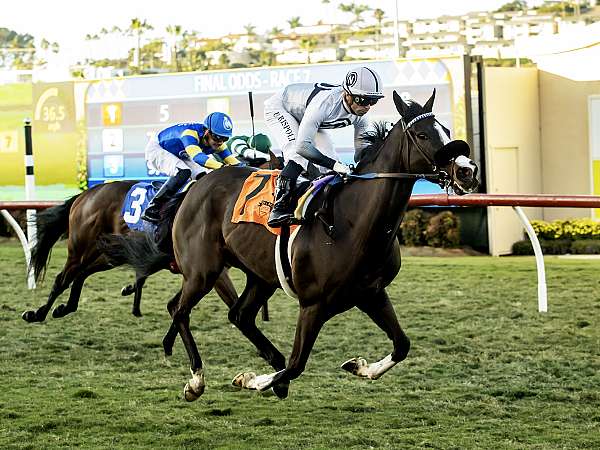 Article Photo Thumbnail