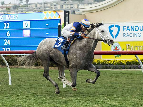 Article Photo Thumbnail