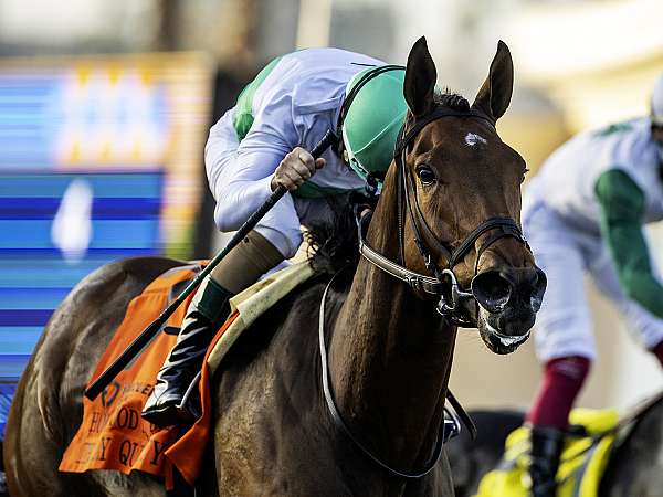 Article Photo Thumbnail