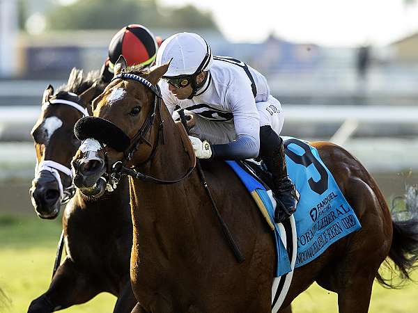 Article Photo Thumbnail