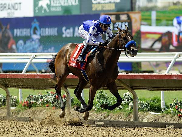 Article Photo Thumbnail